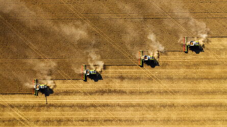 Four harvesters work in unison, creating dusty trails as they move across a vast golden field.